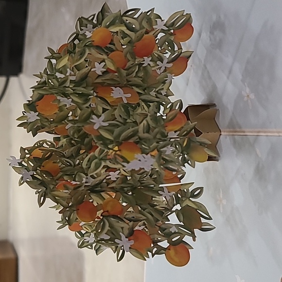 Lovepop Orange Blossom Tree Blank Card - Picture 7 of 10